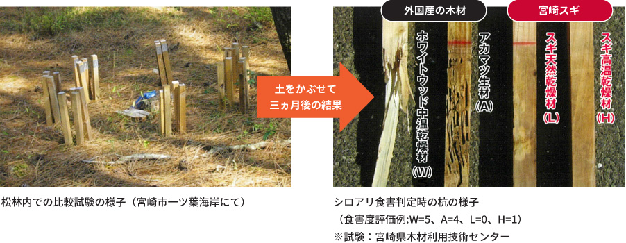 宮崎県木材利用技術センターと宮崎県木材共同組合連合会が耐蟻性の比較試験を行い、その高さを確認しています